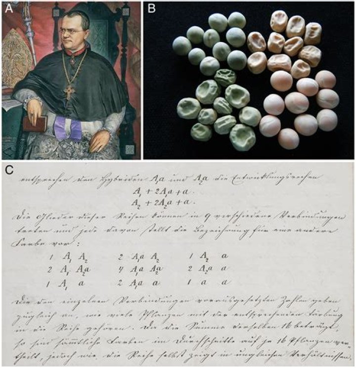 Unraveling The Age Of Ayla Woodruff: Discoveries And Insights Within
