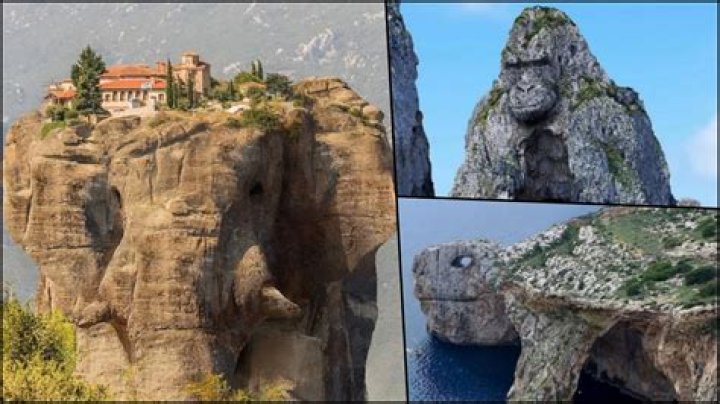 Unveil The Enchanting World Of Duke's La Jolla: A Photographic Journey