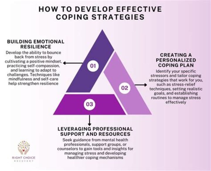 Unveiling Hidden Dynamics And Coping Strategies