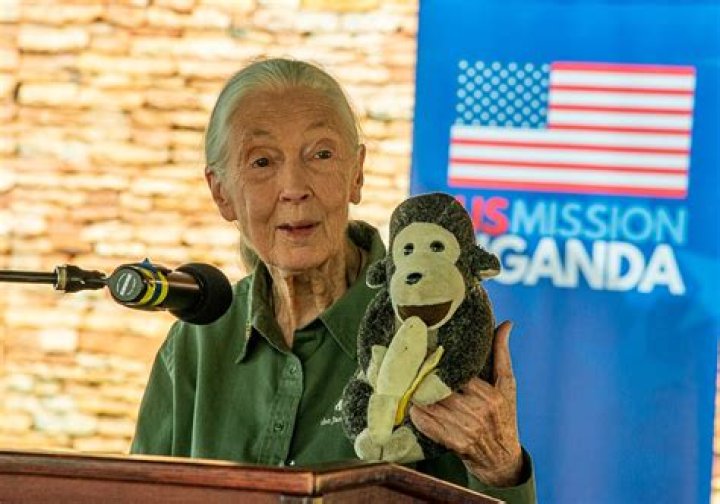 Unveiling Jane Goodall's Height And Its Impact