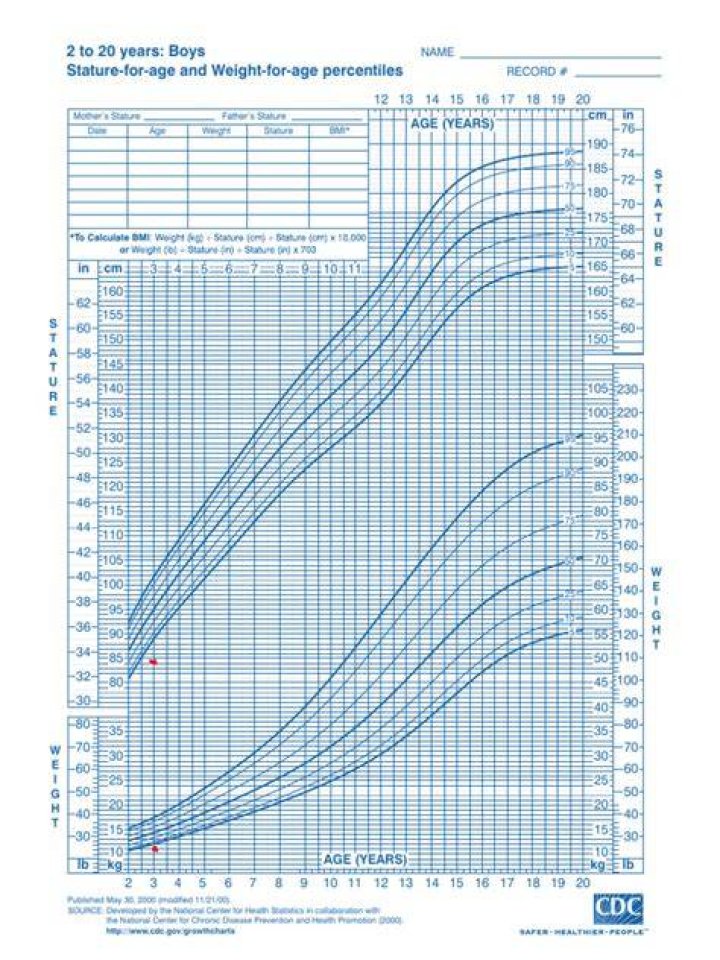 Unveiling Rev Run's Wealth, Age, Stature, And Weight: Surprising Insights