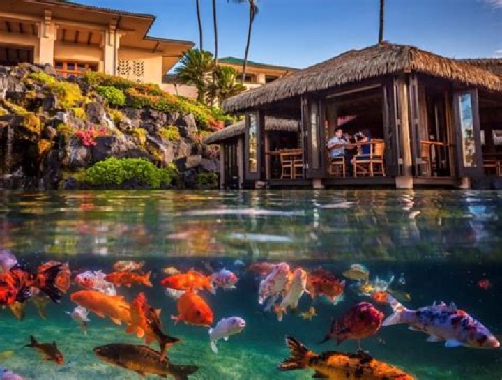 Unveiling The Enchanting Tidepools Restaurant Kauai: A Culinary Oasis Awaits