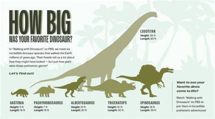 Unveiling The Enigma Of "How Tall Is Jax": Discoveries And Insights