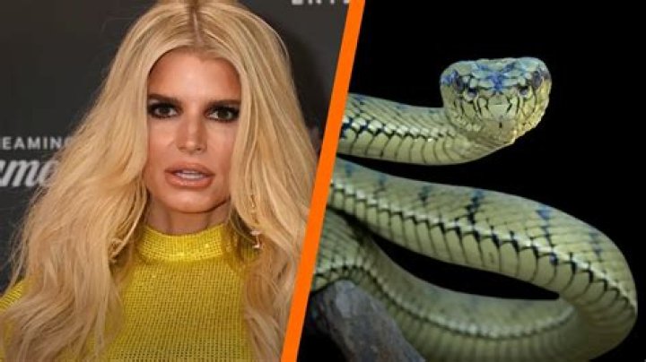 Unveiling The Enigmatic Appeal Of "feet Jessica Simpson": Discoveries And Insights