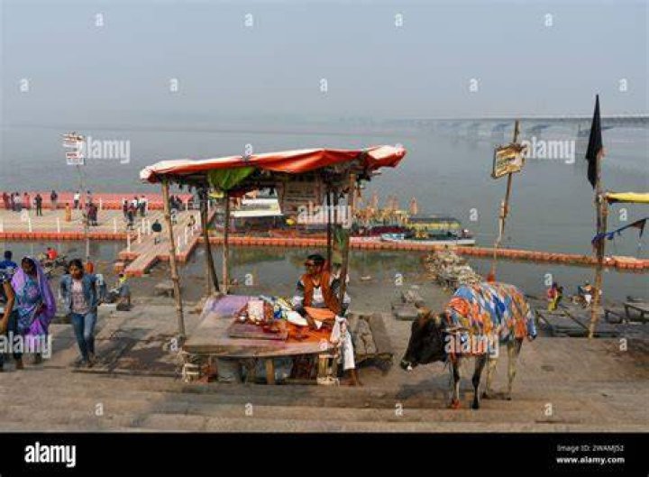 Unveiling The Multifaceted Talent Of Sarayu Rao: Discoveries And Insights