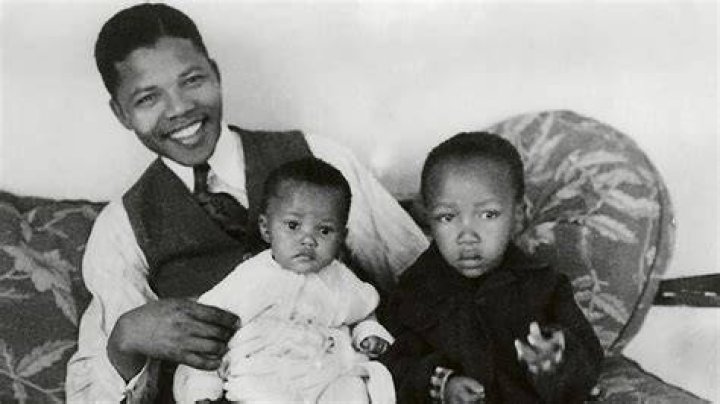 Unveiling The Nelson Sibling Dynasty: Discoveries And Insights