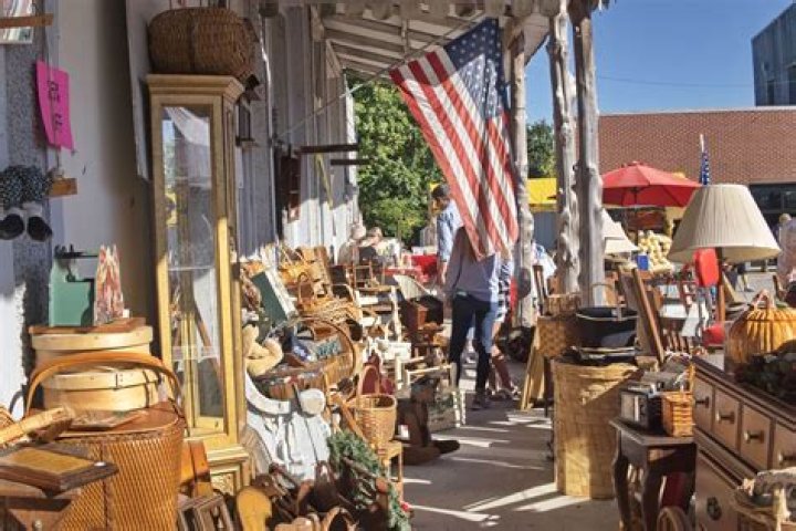 Unveiling The Secrets Of Black Market Fleas: Discoveries And Insights