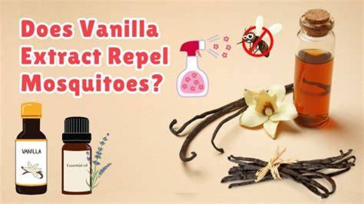 Vanilla Extract's Mosquito Repelling Powers