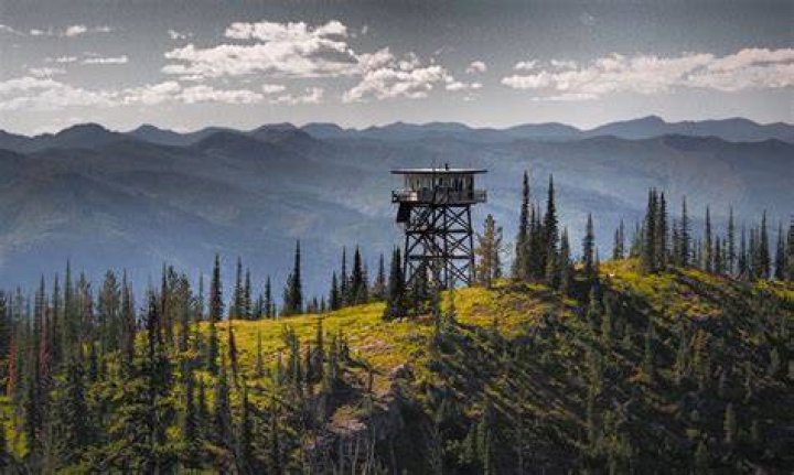What Is TomS Salary On Mountain Men? Celebrity