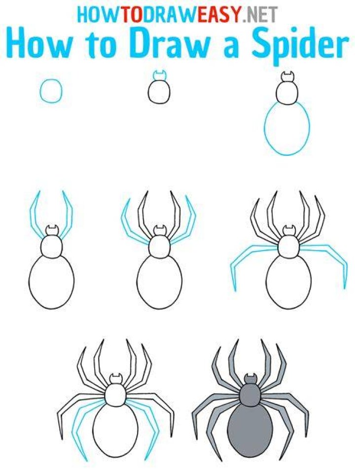 Why Are Spiders Drawn To You?