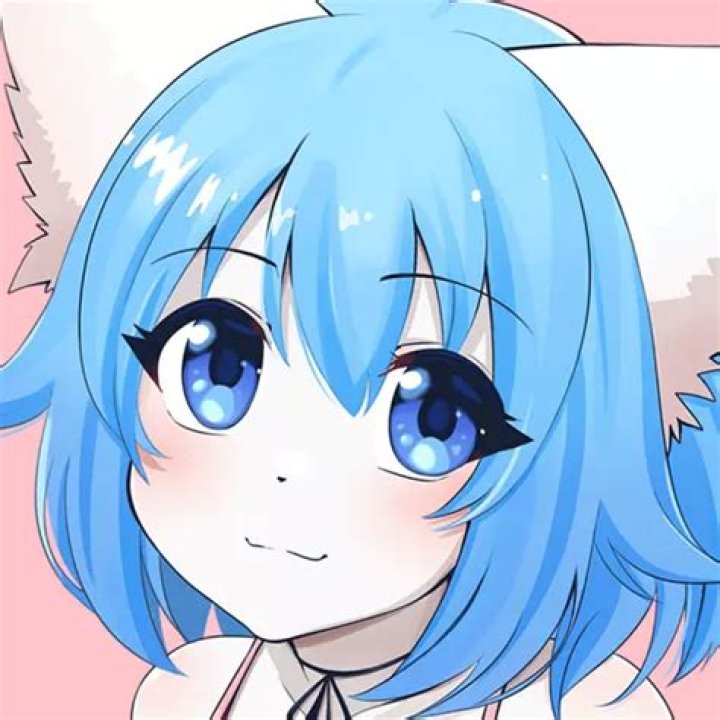 Wolfychu - WebBlog